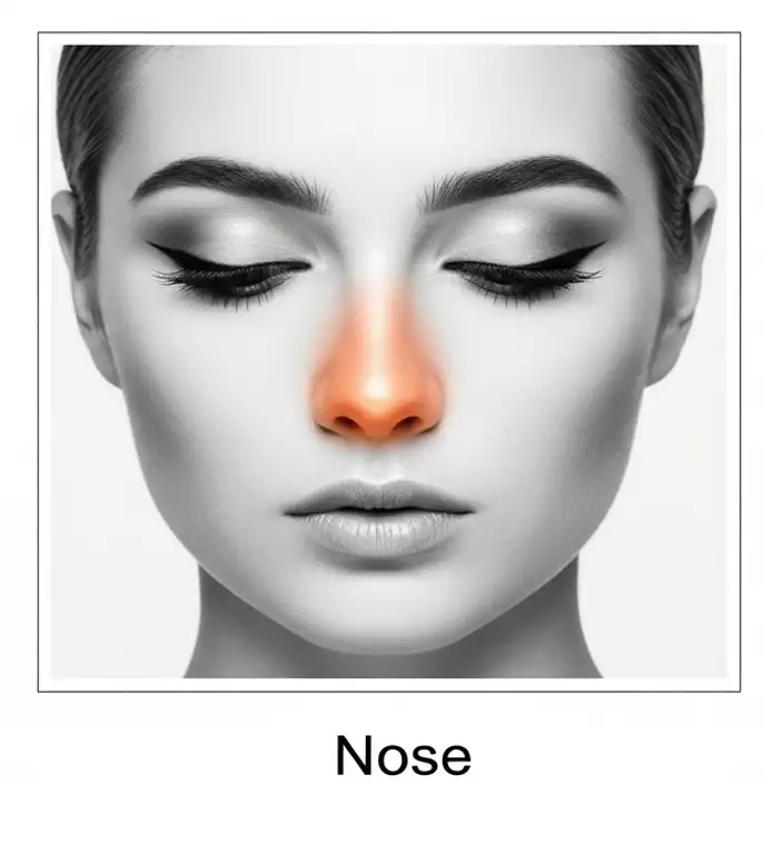 Nose laser hair removal for Female and Male