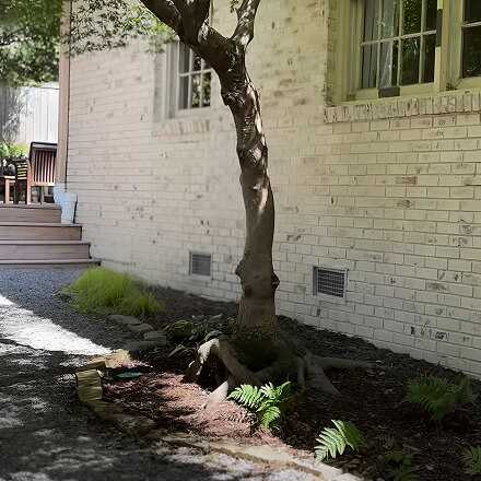 Toluca Lake eco-friendly limewash, crafting textured finishes with depth, elegance, and lasting sophistication.